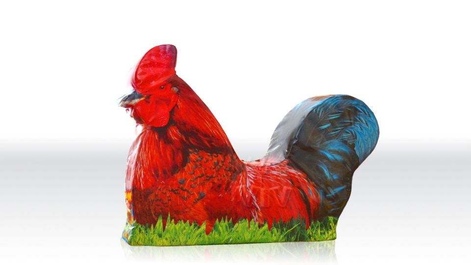 Rooster - digital commercial inflatable softplay